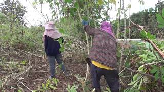 NCIG TEB CHAWS THAIB 2018 P6- LUAJ QOS NTOO NOJ PEB CAUG