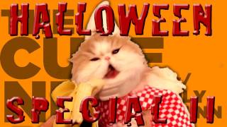 Halloween Special 2 - The Cuteness