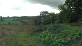 tinkley lane mx