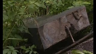 Антисемитизм в России проснулся?