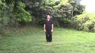Southern Shaolin Small Cross Form DVD Preview