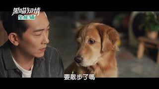 《黑喵知情》施名帥嘗試寵物溝通 結果竟然....