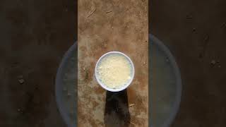 Positive bleach homemade pregnancy test