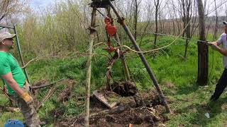Корчевание талью (лебёдкой). Экоферма РукоделЪ.