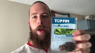 TopFin Live Plant Bulbs