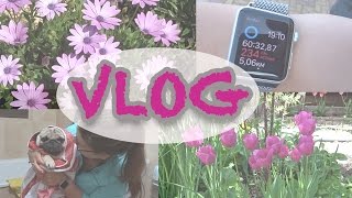 -VLOG- Flores, deporte, baño perruno y me encuentro con....???