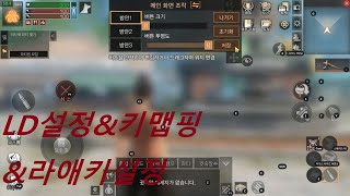 라이프애프터/LD셋팅법+키맵핑+라애인터페이스설정법