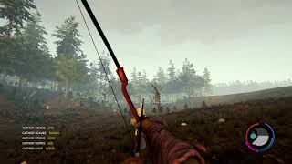 The Forest new motant