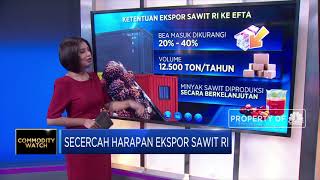 Secercah Harapan Ekspor Sawit RI