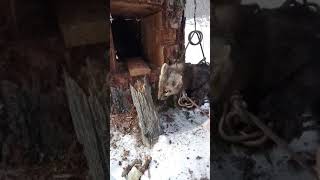 Охота на соболя, кпт - 125 сработал.