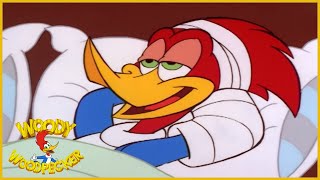 Woody Woodpecker | Painfaker | Woody Woodpecker Full Episode | Kids Cartoon | Videos for Kids