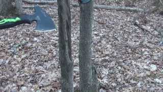 Knife Test : CRKT Chogan T-Hawk (Chopping)
