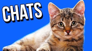 TEAM CHAT EN FORCE - Match commenté US/UL #38