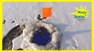 Жерлицы ставлю, окуня ловлю, хлеб с салом на морозе - это зимняя рыбалка!