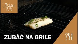 Zubáč na grile | Hotel Zochova chata vlog #7
