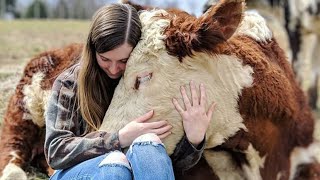 Woman creates sanctuary just to save cow sold to farmer