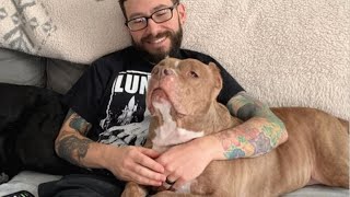 Dog with lifetime of trauma finally discovers human love