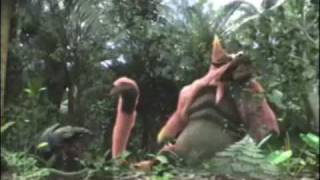 【MH】モンスター生態集part１