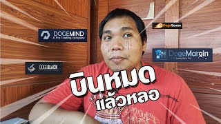 เว็ปขุด Dogecoin บินพร้อมกัน 4 เว็ปเลยหลอ