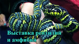 Московская выставка рептилий и амфибий