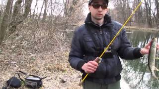 Поймал-отпусти... или Street Fishing на Журавлевке