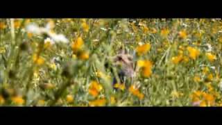 The Fox and The Child Clip - In UK Cinemas 8th August
