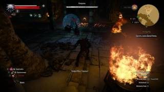 Witcher 3 - Fighting Nitrael / Ведьмак 3 - Босс Нитраль