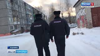 В Коряжме пытаются поймать агрессивную собаку, которая 4 дня нападает на прохожих