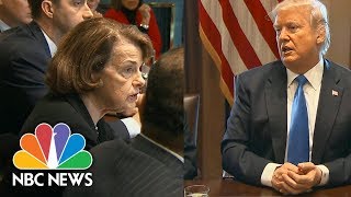 In Bipartisan Immigration Meeting, President Donald Trump Agrees With Two-Phase Approach | NBC News