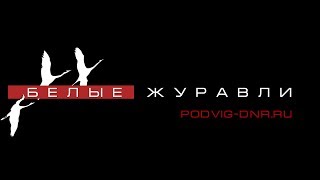 Проект «Белые журавли»