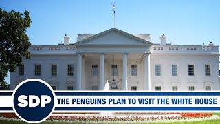 The Penguins are Going to the White House | The Steve Dangle Podcast