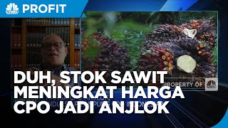 Bikin Dilema, Lonjakan Stok Sawit RI Bikin Harga CPO Anjlok