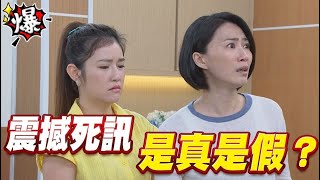 《多情大爆爆》多情城市 EP202 震撼死訊 是真是假？
