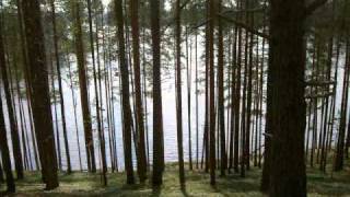 Genesis 1:1-2:3 recited in Hebrew