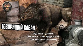 Я МОГУ РАЗГОВАРИВАТЬ С МУТАНТАМИ. Игра Душ - Эксельсиор STALKER прохождение #2