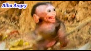 Million Breakheart Baby Alba Angry Her Mom Anna So Much Because Anna Not Care