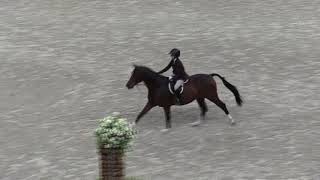 Video of CARISTO ridden by MEGHAN ROHRBAUGH BEAR from ShowNet!