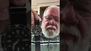 Watch review Seiko SKX173 automatic divers watch