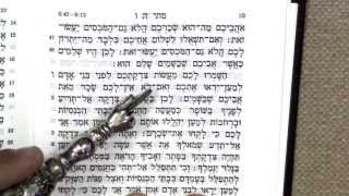 Read Matthew 6 in Biblical Hebrew in this HEBREW CHAPTERS episode! TRAILER