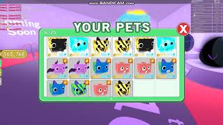 Opening 6, Tier 10 Eggs! - NEW Pet Simulator