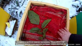 Зимняя подкормка пчел канди 26.01.2018