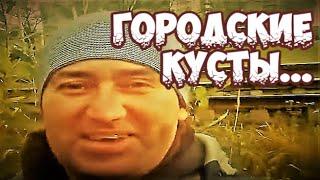 Плетение из лозы-"Городские кусты...городские кусты,вот опять..."