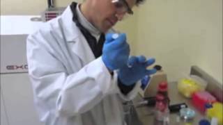 Melamine Milk Prep (Excellims IMS)