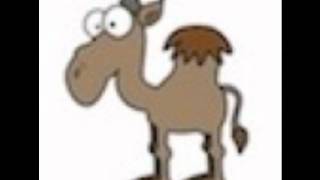 Alice the camel