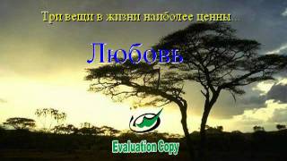 ТРИ ВЕЩИ