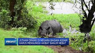 Jutaan Orang di Negara Bagian Assam Mengungsi Akibat Banjir Hebat