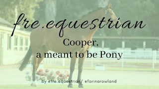 Cooper, a meant to be Pony.