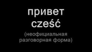 Польский язык урок 1. Приветствие/прощание. Polish language.
