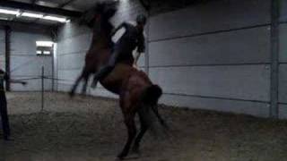 Me and my horse