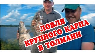 Ловля крупного карпа на пруду. 2016 CarpFihing #1